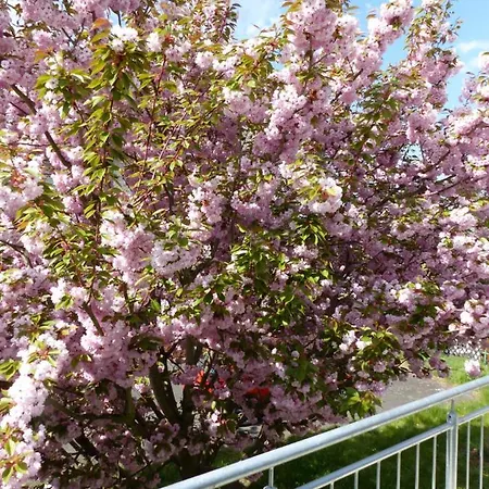 Apartman Anduns - Boppard