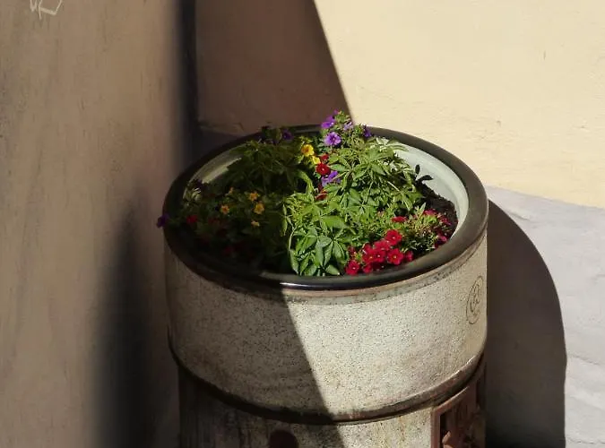 Apartamento Anduns - *